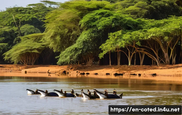 코트디부아르 코모에 국립공원 - **"A serene boat safari on the Comoé River, showcasing the unique ecological gradient of Comoé Natio...