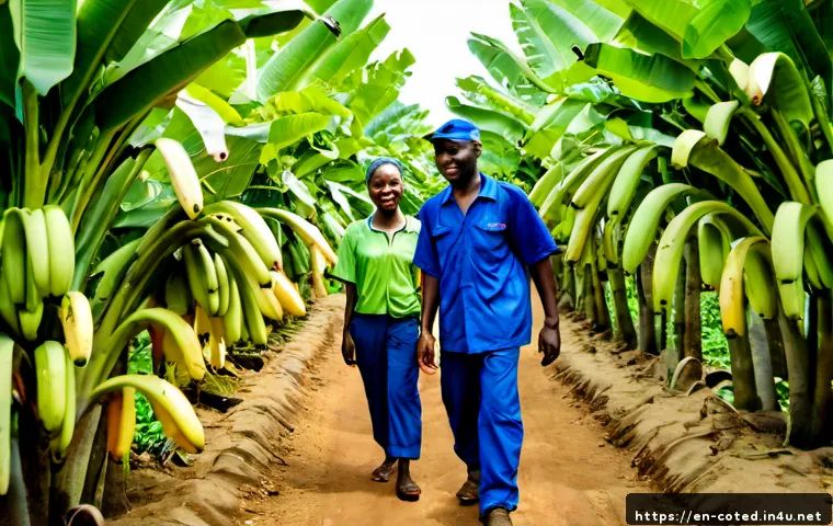코트디부아르 바나나 플랜테이션 투어 - Photorealistic travel documentary scene in a Côte d’Ivoire banana plantation near Abidjan, a knowled...